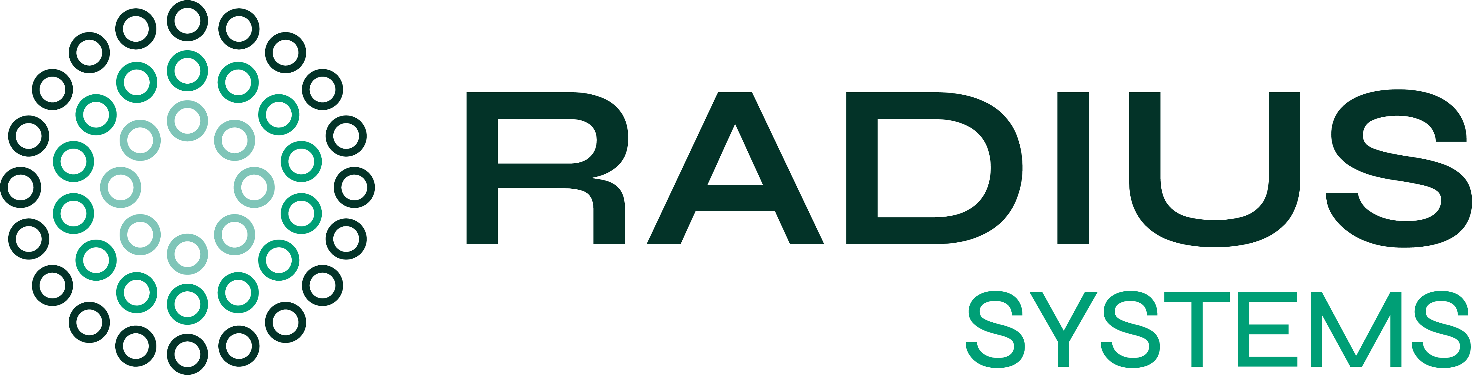 Radius Systems Ltd