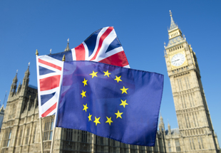 Priorities for the UK Plastics Industry in a new UK-EU relationship